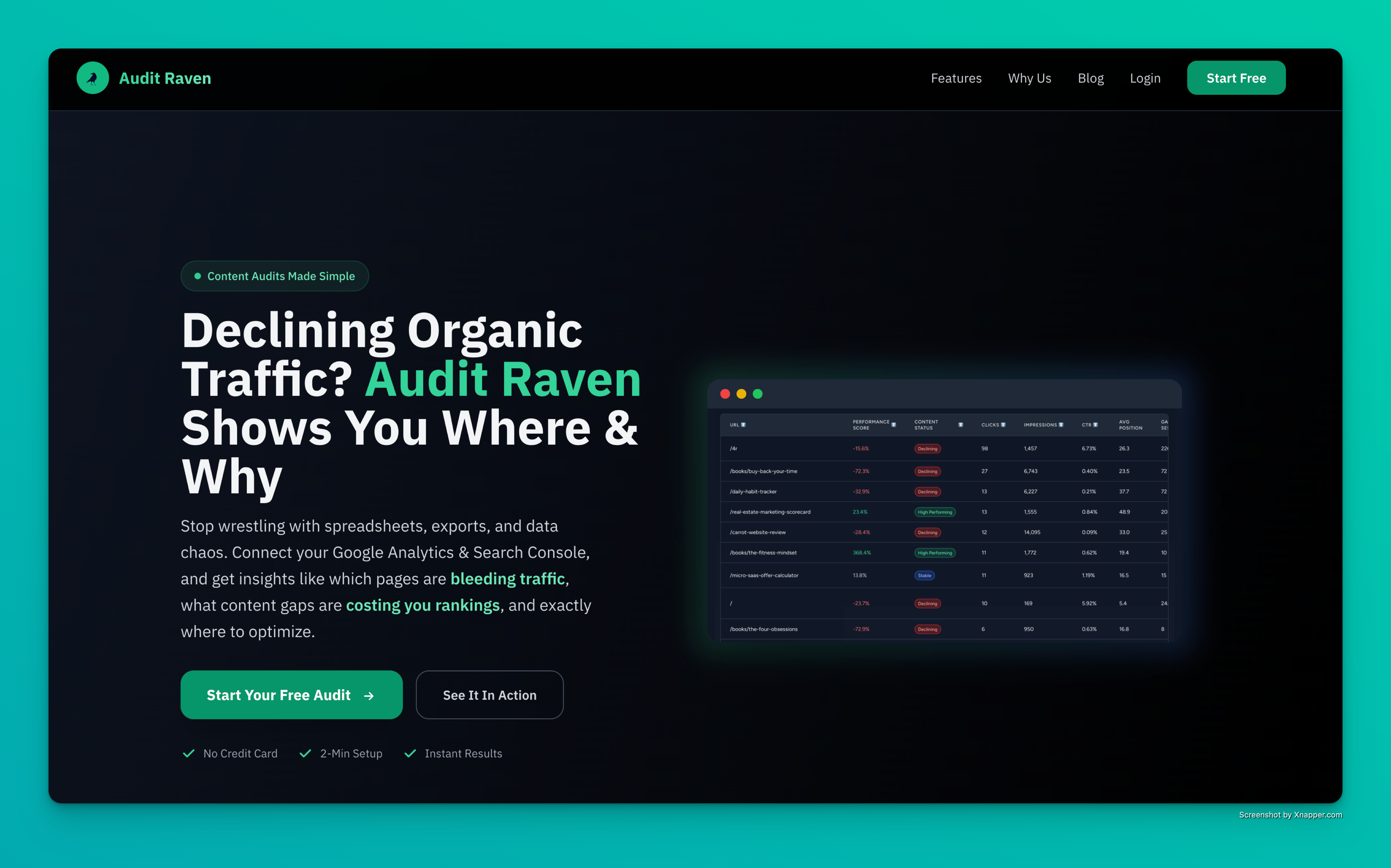 Audit Raven Home Page